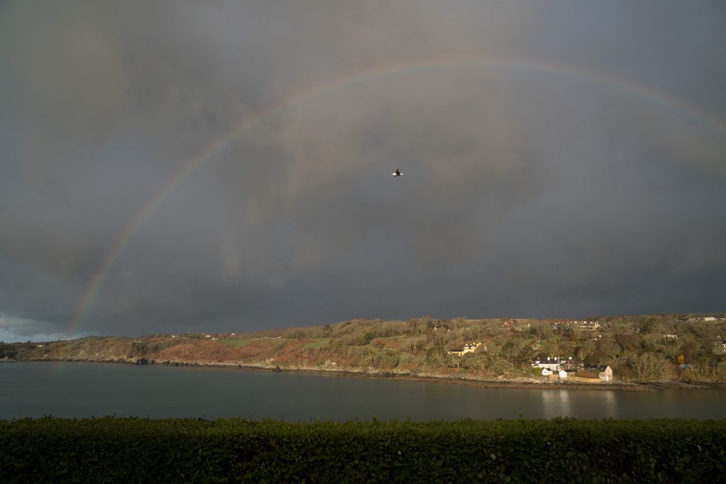 Regenbogen_2